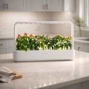 Click and Grow smart Garden 9 Startsett - Hvit