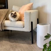 Sensibo Pure: The air purifier that enhances the quality of air in your home