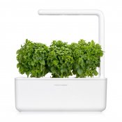 Click and Grow Smart Garden Refill 3-pack - Finbladig Basilika