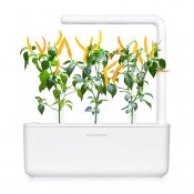 Click & Grow Plant Pods 3-Pack - Chili Pepper