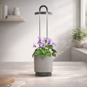 Click and Grow HydroVase - Grå
