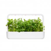 Click and Grow Smart Garden Refill 3-pack - Rundmynta