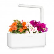 Click and Grow Smart Garden Refill 3-pack - Flitiga Lisa