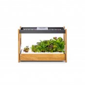 Click and Grow 25 - Svart (Salad Greens 54x pack)