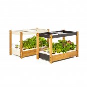 Click and Grow 25 - Vit (Salad Greens 54x pack)