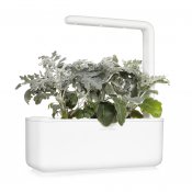 Click and Grow Smart Garden Refill 3-pack - Dusty Miller