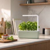 Click & Grow Smart Garden 3 Startkit - Sage