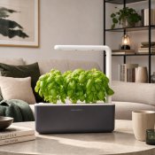 Click & Grow smart Garden 3 Start Kit - Mörkgrå
