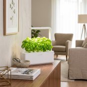Click & Grow Smart Garden 3 Startkit - Vit