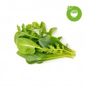 Click and Grow Smart Garden Refill 9-pack Green Sallad Mix