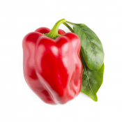 Click and Grow Smart Garden Refill 3-pack - Sweet red peppers