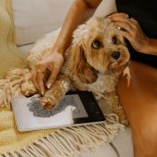 Paperlike™ 3 iPad Pro 11" (2018-2023) & iPad Air 10.9" (2020-2023) - 2 Pack - 2 Pack