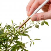 Click & Grow Sett med hageredskaper