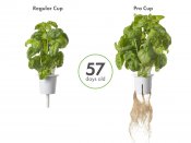 Click and Grow Pro Plant Cups 9 pack