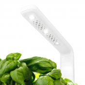 Click & Grow Smart Garden 3 Startkit - Sage