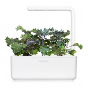 Click and Grow Smart Garden Refill 3-pack - Rödkål