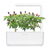 Click and Grow Smart Garden Refill 3-pack - Lila Chilipeppar