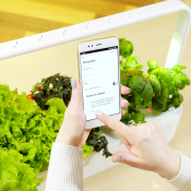 Click and Grow Smart Garden 9 Pro Starter kit