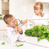 Click and Grow Smart Garden 9 Pro Starter kit
