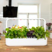 Click and Grow Smart Garden 9 Start kit - Mellow Beige