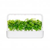 Click and Grow Smart Garden Refill 3-pack - Kanelbasilika