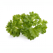 Click and Grow Smart Garden Refill 3-pack - Curly Parsley