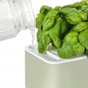 Click & Grow Smart Garden 3 Startkit - Sage