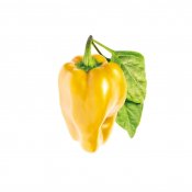 Click and Grow Smart Garden Refill 3-pack - Gul paprika