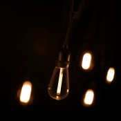 Lite bulb moments Smart Light Chain - Vintage Edison