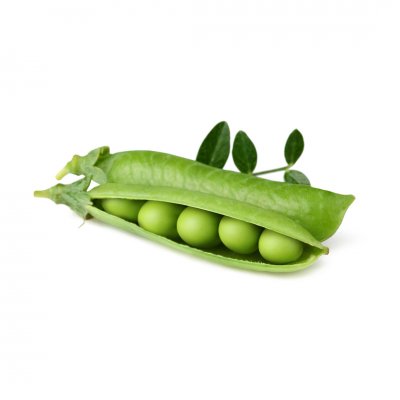 Click and Grow Smart Garden Refill 3-pack - Dwarf Pea