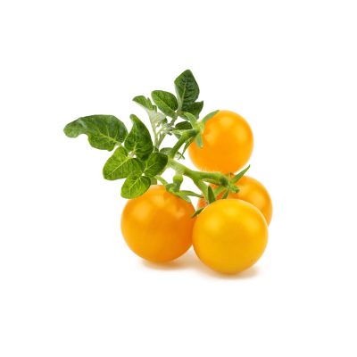 Click and Grow Smart Garden Refill 3-pack - Gul tomat
